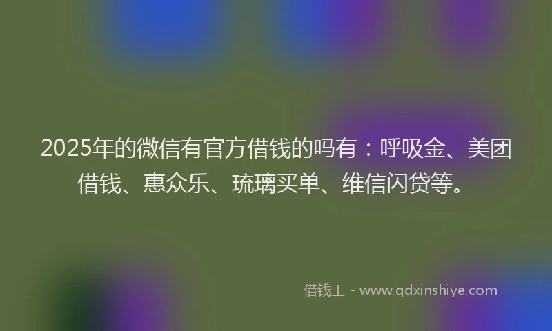 2025年的微信有官方借钱的吗有：呼吸金、美团借钱、惠众乐、琉璃买单、维信闪贷等。