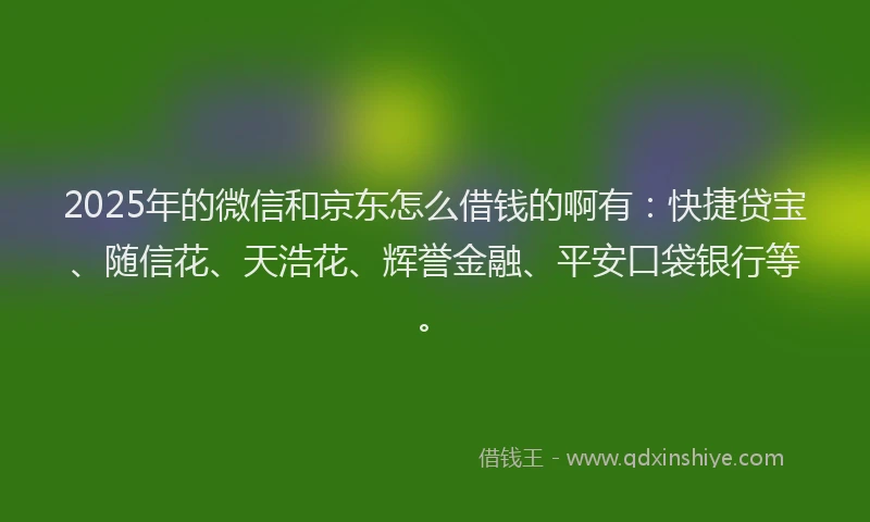 2025年的微信和京东怎么借钱的啊有：快捷贷宝、随信花、天浩花、辉誉金融、平安口袋银行等。