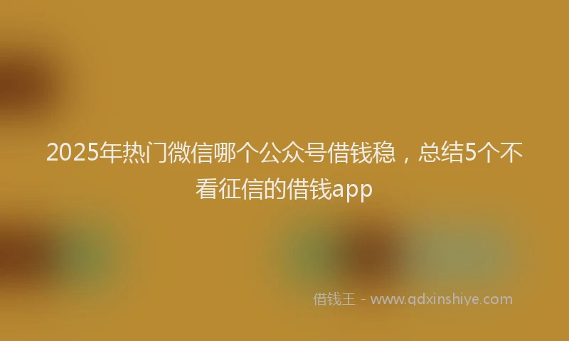2025年热门微信哪个公众号借钱稳，总结5个不看征信的借钱app