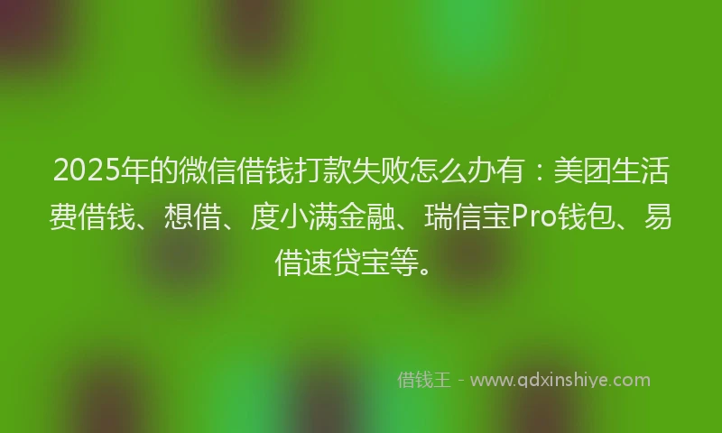 2025年的微信借钱打款失败怎么办有：美团生活费借钱、想借、度小满金融、瑞信宝Pro钱包、易借速贷宝等。