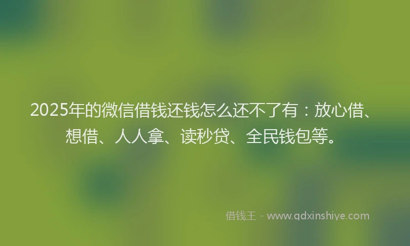 2025年的微信借钱还钱怎么还不了有：放心借、想借、人人拿、读秒贷、全民钱包等。