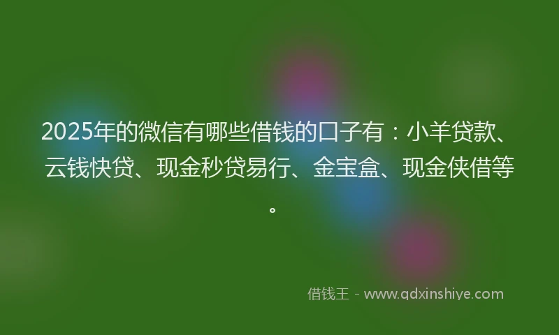2025年的微信有哪些借钱的口子有：小羊贷款、云钱快贷、现金秒贷易行、金宝盒、现金侠借等。