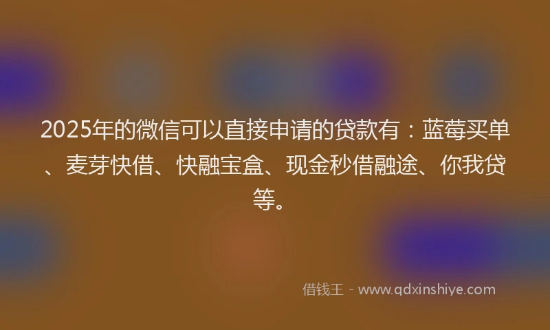 2025年的微信可以直接申请的贷款有：蓝莓买单、麦芽快借、快融宝盒、现金秒借融途、你我贷等。