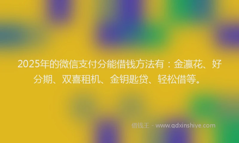 2025年的微信支付分能借钱方法有：金瀛花、好分期、双喜租机、金钥匙贷、轻松借等。