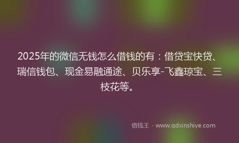 2025年的微信无钱怎么借钱的有：借贷宝快贷、瑞信钱包、现金易融通途、贝乐享-飞鑫琼宝、三枝花等。
