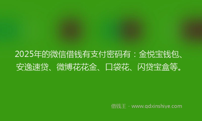 2025年的微信借钱有支付密码有：金悦宝钱包、安逸速贷、微博花花金、口袋花、闪贷宝盒等。