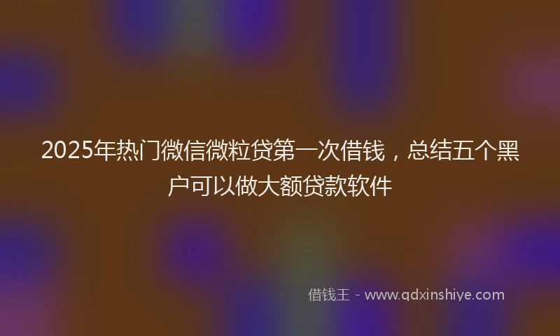 2025年热门微信微粒贷第一次借钱，总结五个黑户可以做大额贷款软件