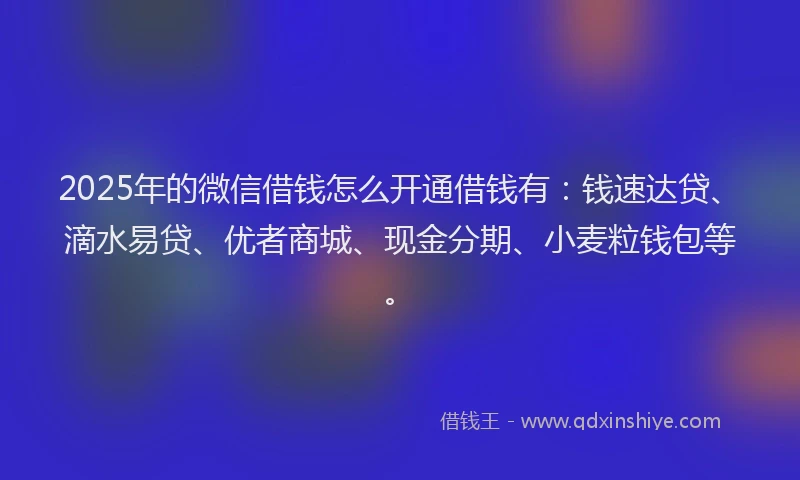 2025年的微信借钱怎么开通借钱有：钱速达贷、滴水易贷、优者商城、现金分期、小麦粒钱包等。