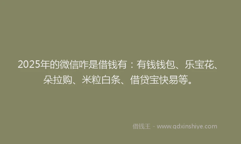 2025年的微信咋是借钱有：有钱钱包、乐宝花、朵拉购、米粒白条、借贷宝快易等。