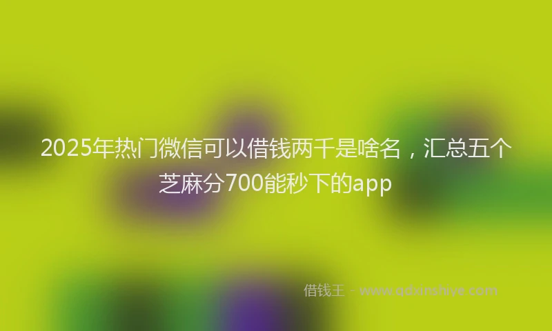 2025年热门微信可以借钱两千是啥名，汇总五个芝麻分700能秒下的app