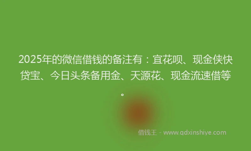2025年的微信借钱的备注有：宜花呗、现金侠快贷宝、今日头条备用金、天源花、现金流速借等。