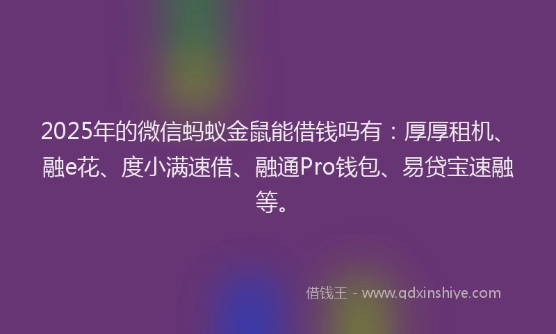 2025年的微信蚂蚁金鼠能借钱吗有：厚厚租机、融e花、度小满速借、融通Pro钱包、易贷宝速融等。