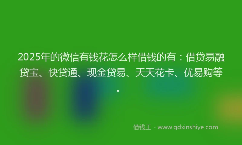 2025年的微信有钱花怎么样借钱的有：借贷易融贷宝、快贷通、现金贷易、天天花卡、优易购等。