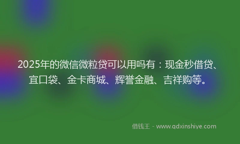 2025年的微信微粒贷可以用吗有：现金秒借贷、宜口袋、金卡商城、辉誉金融、吉祥购等。
