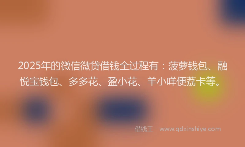 2025年的微信微贷借钱全过程有：菠萝钱包、融悦宝钱包、多多花、盈小花、羊小咩便荔卡等。