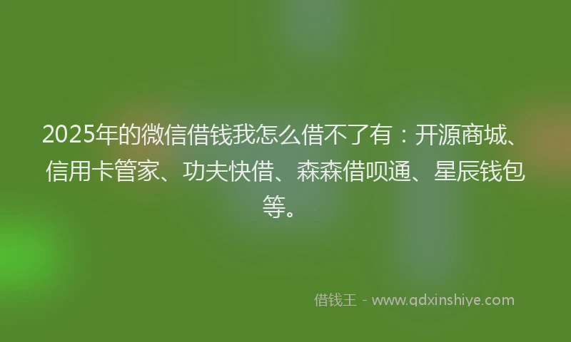 2025年的微信借钱我怎么借不了有：开源商城、信用卡管家、功夫快借、森森借呗通、星辰钱包等。