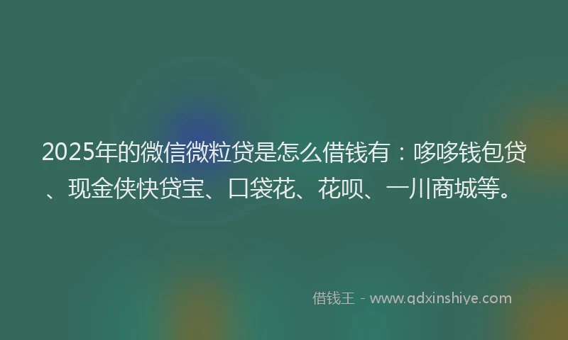 2025年的微信微粒贷是怎么借钱有：哆哆钱包贷、现金侠快贷宝、口袋花、花呗、一川商城等。