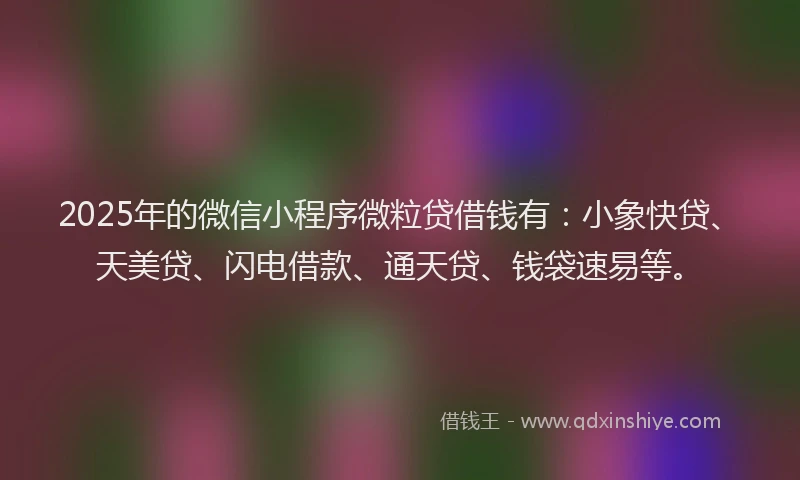 2025年的微信小程序微粒贷借钱有：小象快贷、天美贷、闪电借款、通天贷、钱袋速易等。