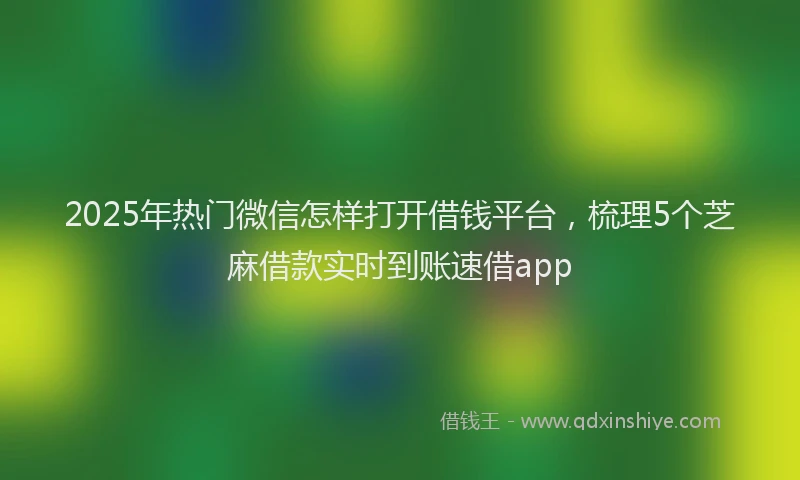 2025年热门微信怎样打开借钱平台，梳理5个芝麻借款实时到账速借app