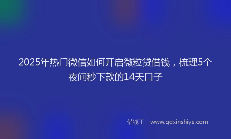 2025年热门微信如何开启微粒贷借钱，梳理5个夜间秒下款的14天口子