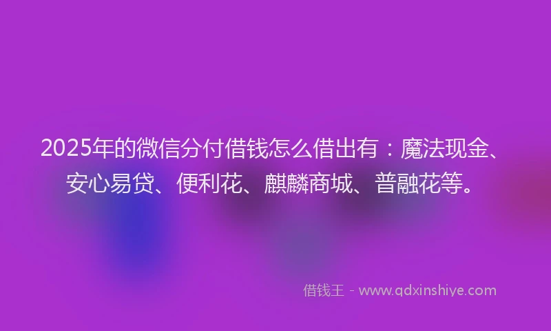 2025年的微信分付借钱怎么借出有：魔法现金、安心易贷、便利花、麒麟商城、普融花等。