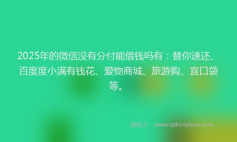 2025年的微信没有分付能借钱吗有：替你速还、百度度小满有钱花、爱物商城、旅游购、宜口袋等。