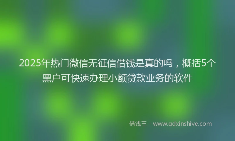 2025年热门微信无征信借钱是真的吗，概括5个黑户可快速办理小额贷款业务的软件