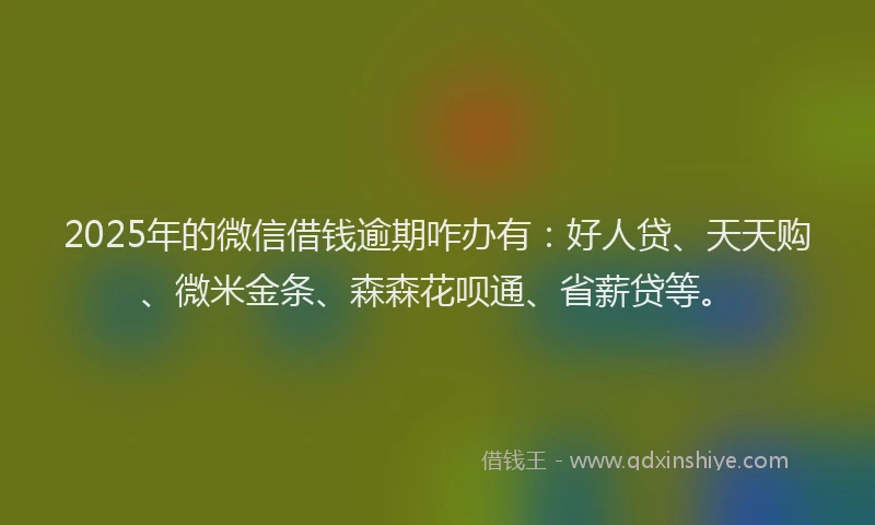2025年的微信借钱逾期咋办有：好人贷、天天购、微米金条、森森花呗通、省薪贷等。