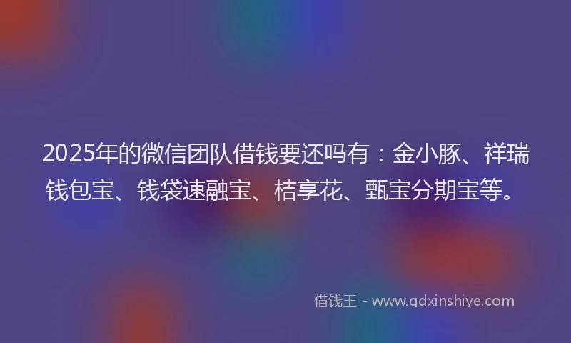 2025年的微信团队借钱要还吗有：金小豚、祥瑞钱包宝、钱袋速融宝、桔享花、甄宝分期宝等。