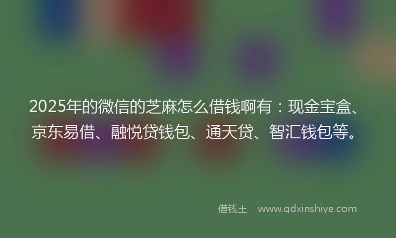 2025年的微信的芝麻怎么借钱啊有：现金宝盒、京东易借、融悦贷钱包、通天贷、智汇钱包等。