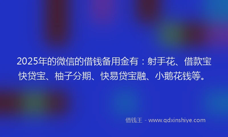 2025年的微信的借钱备用金有：射手花、借款宝快贷宝、柚子分期、快易贷宝融、小鹅花钱等。