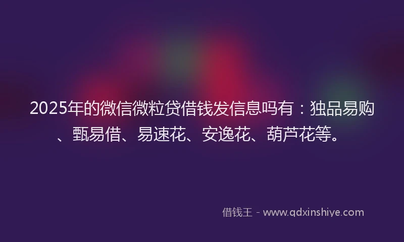 2025年的微信微粒贷借钱发信息吗有：独品易购、甄易借、易速花、安逸花、葫芦花等。