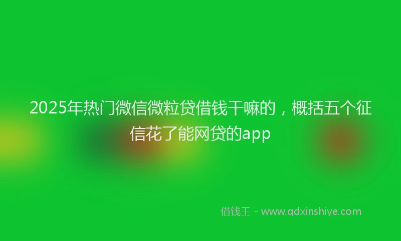 2025年热门微信微粒贷借钱干嘛的，概括五个征信花了能网贷的app