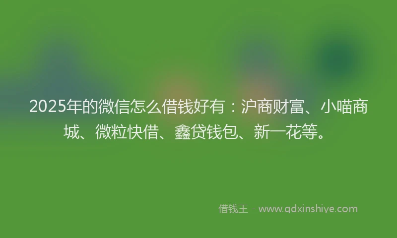 2025年的微信怎么借钱好有：沪商财富、小喵商城、微粒快借、鑫贷钱包、新一花等。