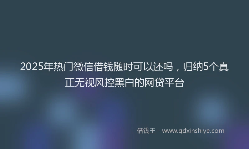 2025年热门微信借钱随时可以还吗，归纳5个真正无视风控黑白的网贷平台