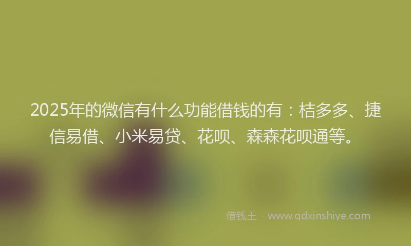 2025年的微信有什么功能借钱的有：桔多多、捷信易借、小米易贷、花呗、森森花呗通等。