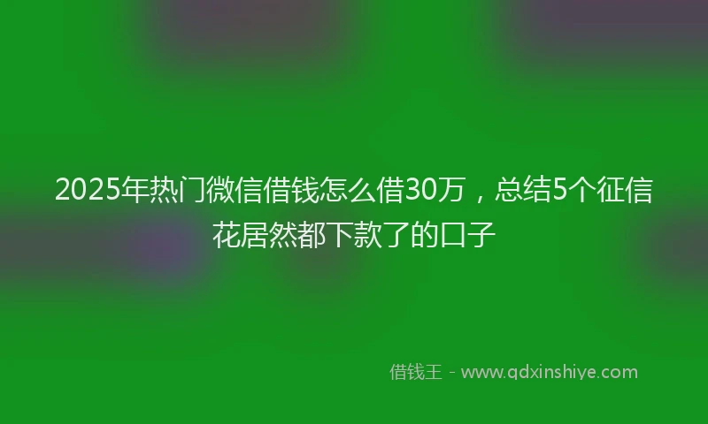 2025年热门微信借钱怎么借30万，总结5个征信花居然都下款了的口子