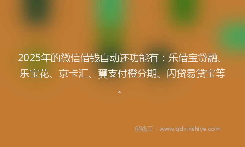 2025年的微信借钱自动还功能有：乐借宝贷融、乐宝花、京卡汇、翼支付橙分期、闪贷易贷宝等。