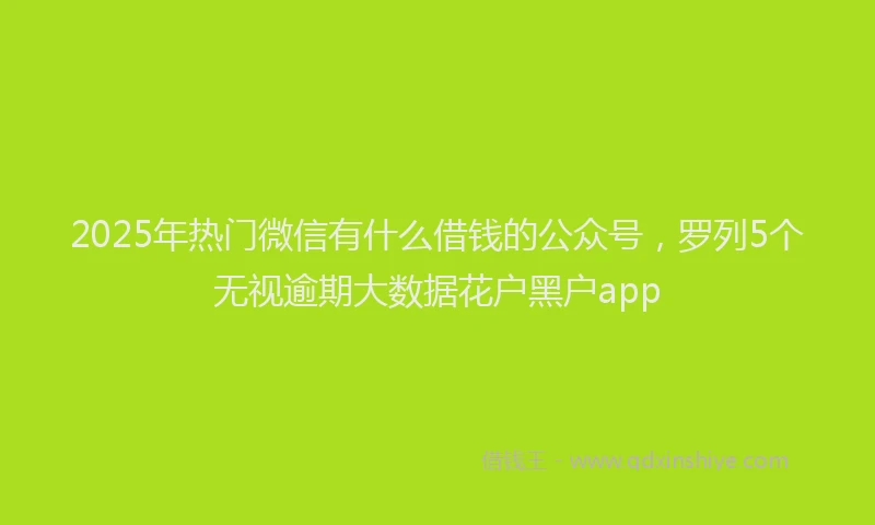 2025年热门微信有什么借钱的公众号，罗列5个无视逾期大数据花户黑户app