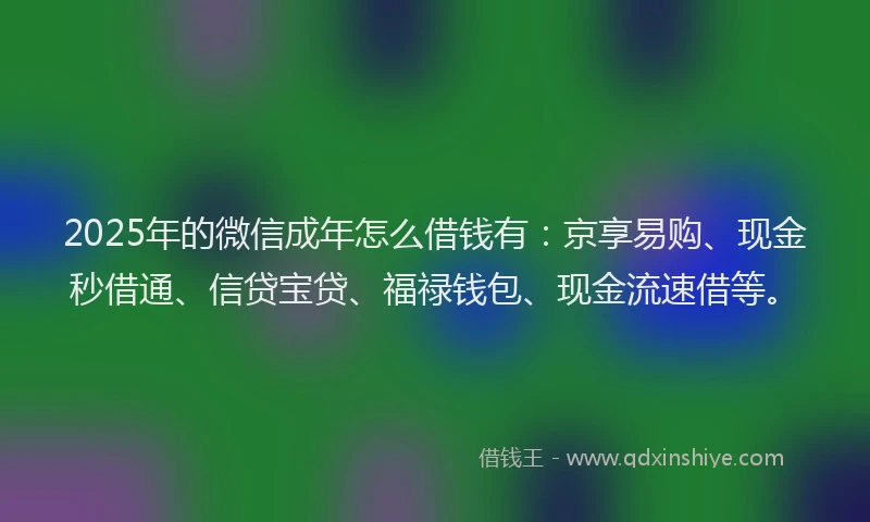 2025年的微信成年怎么借钱有：京享易购、现金秒借通、信贷宝贷、福禄钱包、现金流速借等。