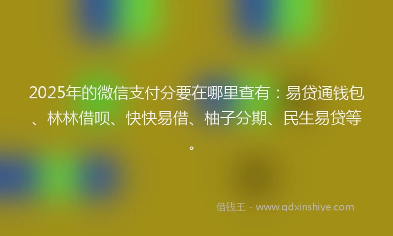 2025年的微信支付分要在哪里查有：易贷通钱包、林林借呗、快快易借、柚子分期、民生易贷等。
