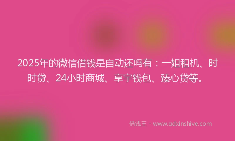 2025年的微信借钱是自动还吗有：一姐租机、时时贷、24小时商城、享宇钱包、臻心贷等。
