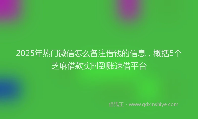 2025年热门微信怎么备注借钱的信息，概括5个芝麻借款实时到账速借平台