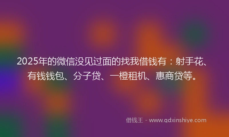 2025年的微信没见过面的找我借钱有：射手花、有钱钱包、分子贷、一橙租机、惠商贷等。