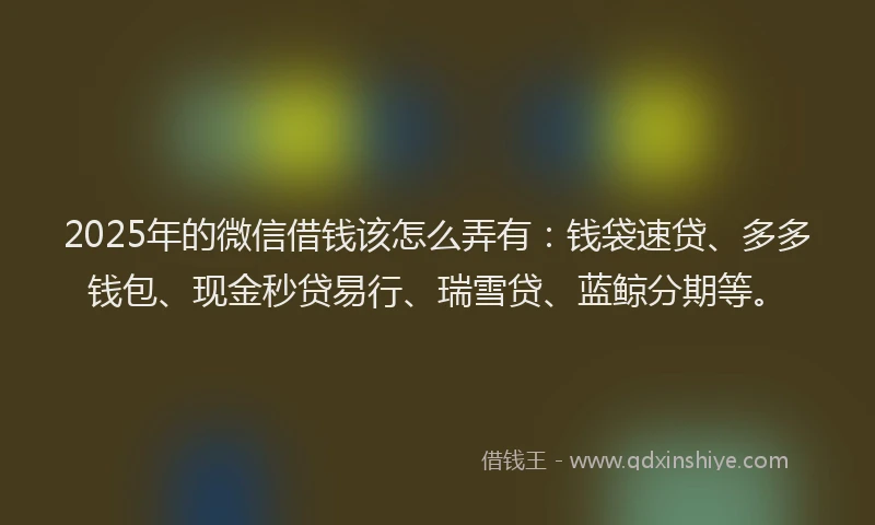 2025年的微信借钱该怎么弄有：钱袋速贷、多多钱包、现金秒贷易行、瑞雪贷、蓝鲸分期等。