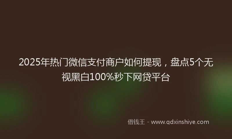 2025年热门微信支付商户如何提现，盘点5个无视黑白100%秒下网贷平台