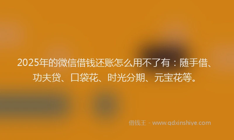 2025年的微信借钱还账怎么用不了有：随手借、功夫贷、口袋花、时光分期、元宝花等。