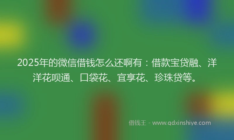 2025年的微信借钱怎么还啊有：借款宝贷融、洋洋花呗通、口袋花、宜享花、珍珠贷等。