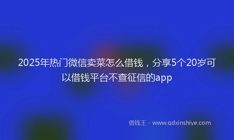 2025年热门微信卖菜怎么借钱，分享5个20岁可以借钱平台不查征信的app