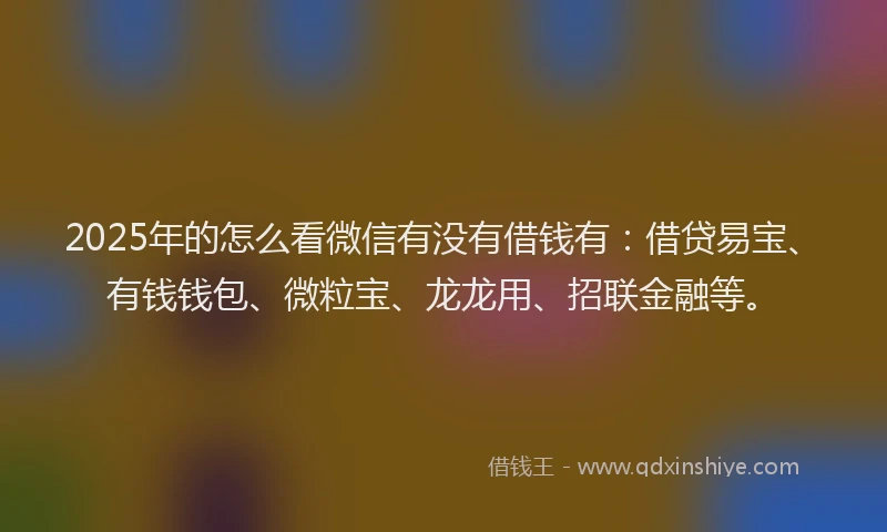 2025年的怎么看微信有没有借钱有：借贷易宝、有钱钱包、微粒宝、龙龙用、招联金融等。